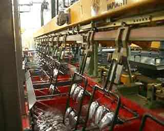 ia2514_buffoli_impianti_galvanici_bild13 Metalchimica Impianti Navpični regalni sistem za galvanizacijo, rabljen IA2514